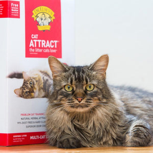 Dr Elsey's Cat Attract Training Litter