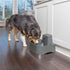 PetSafe Drinkwell Pet Fountain