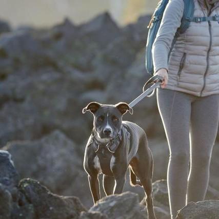 Ruffwear Front Range Leash