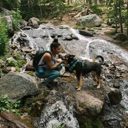 Ruffwear Front Range Harness