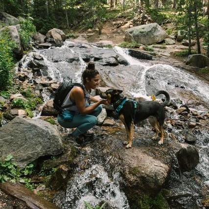 Ruffwear Front Range Harness - product detail image South Africa delivery