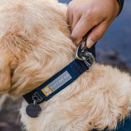 Ruffwear Front Range Dog Collar - product detail image South Africa retail
