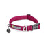 Ruffwear Front Range Dog Collar