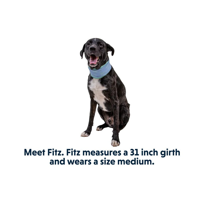 Ruffwear Swamp Cooler Cooling Neck Gaiter - product detail image buy online South Africa