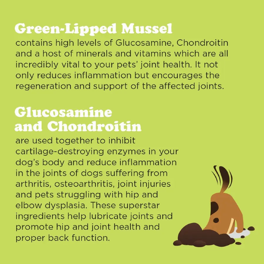 Gizzls Joint and Mobility CBD Treats for Large Dogs Infographic