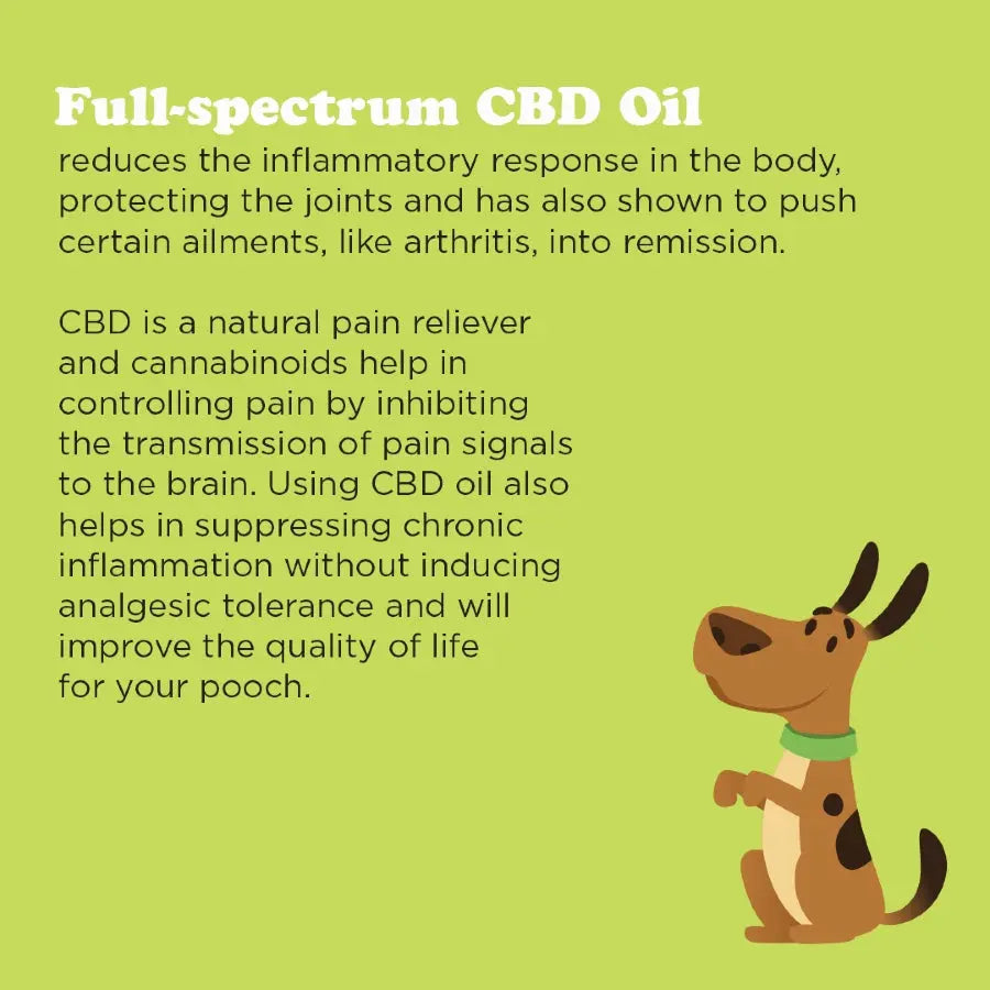 Gizzls Joint and Mobility CBD Treats for Large Dogs Infographic