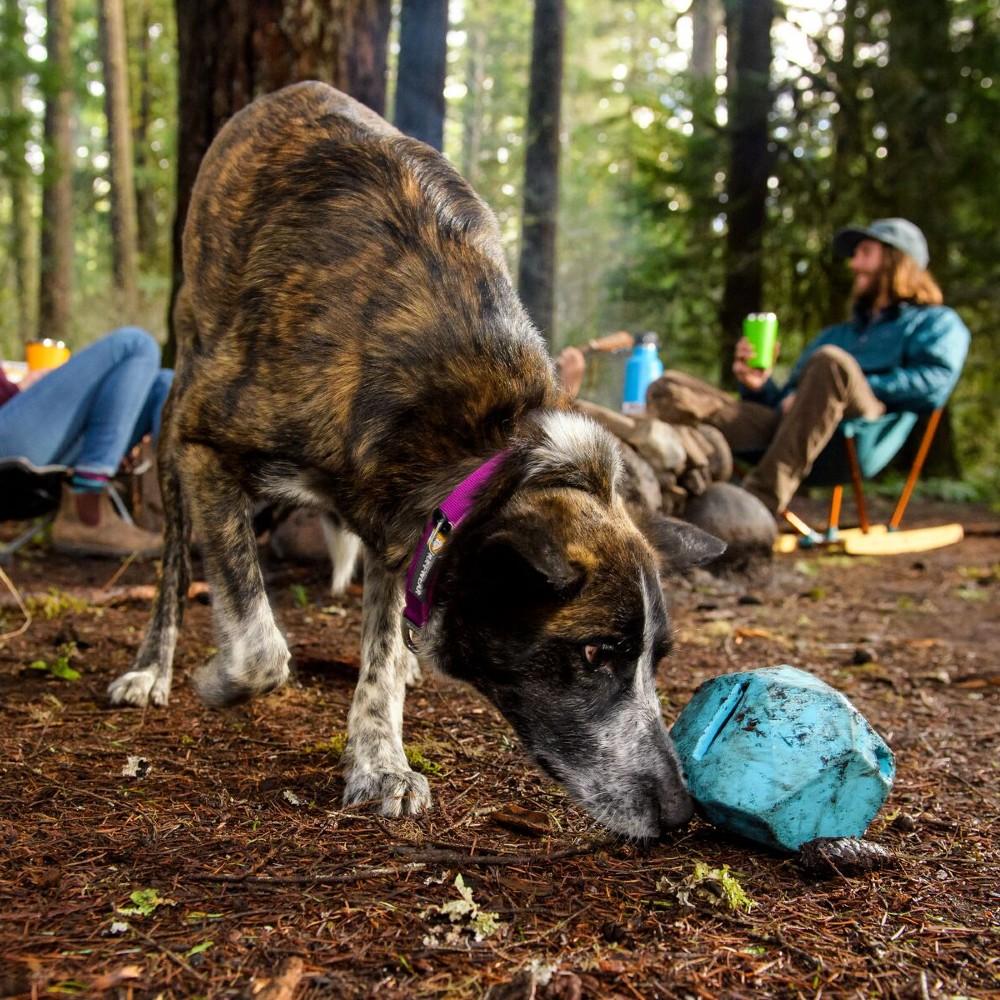 Ruffwear Gnawt a Rock Buy Dog Toys Online Canine Co