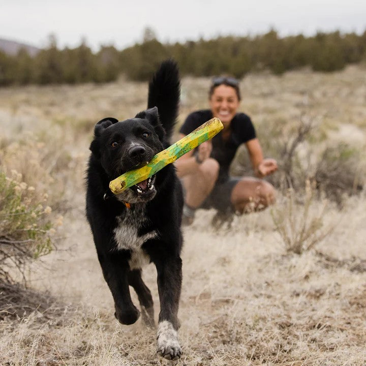 Ruffwear Gnawt-a-Stick - product detail image find in South Africa