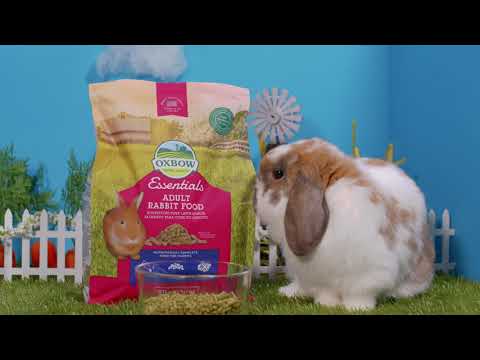 Oxbow Essentials Young Rabbit Food Buy Rabbit Food Online Canine Co