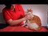 Mikki's Guide to Grooming Your Cat Video