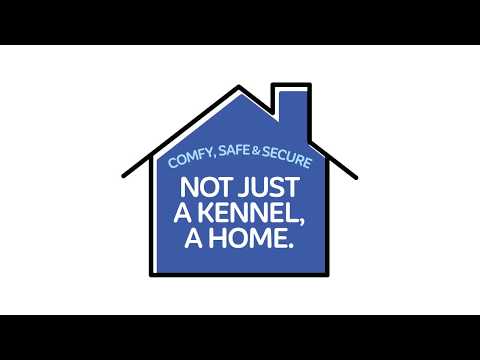 Welcome Home - Safe for Your Pet Video