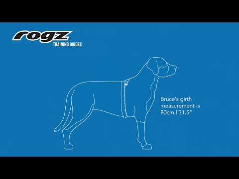 How to Measure Your Dog's Girth Video