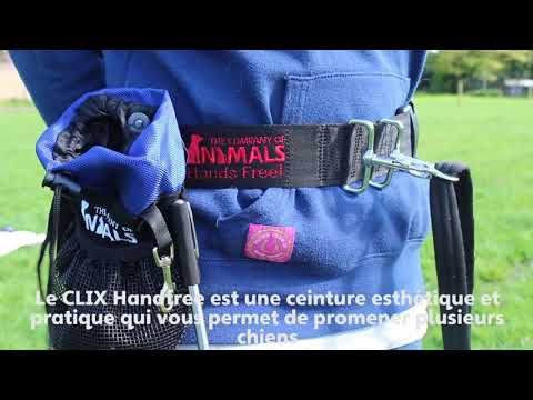 Company of Animals HandsFree Belt One Size