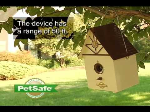 Petsafe bark house best sale