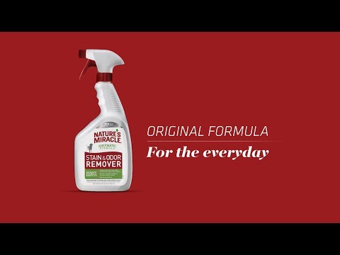 How to Use Nature's Miracle Stain and Odor Remover