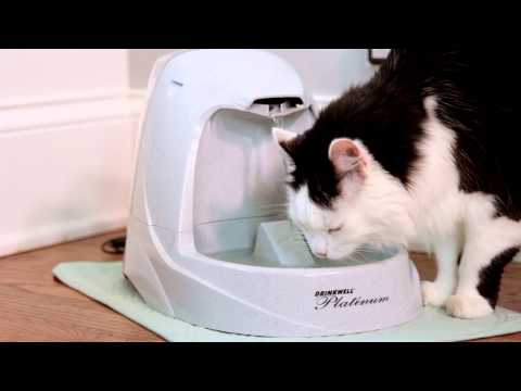 PetSafe Drinkwell Platinum Cat Fountain