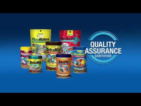 Tetra® — Aquarium Fish Nutrition Video