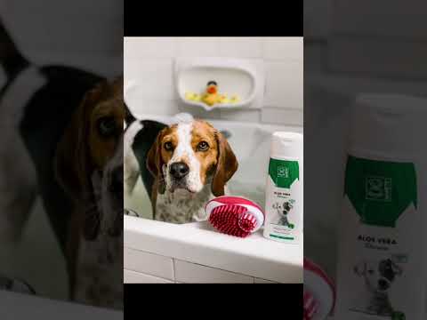 M-Pets Rubeaz Soap Dispenser Video