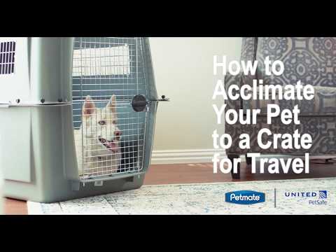 Petmate How to Acclimate Your Pet to a Crate for Travel