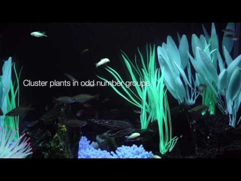 Tetra® – Aquarium Decorating Tips