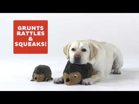 Outward Hound Hedgehogz Video