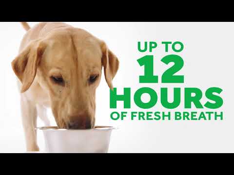 TropiClean Fresh Breath Water Additive Video