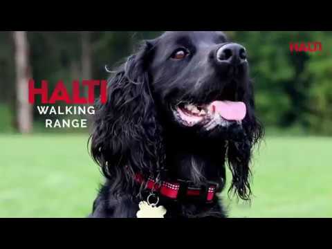 Company of Animals Halti Training Lead