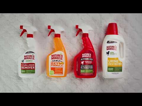 How to Use Nature's Miracle Pet Stain and Odor Solutions