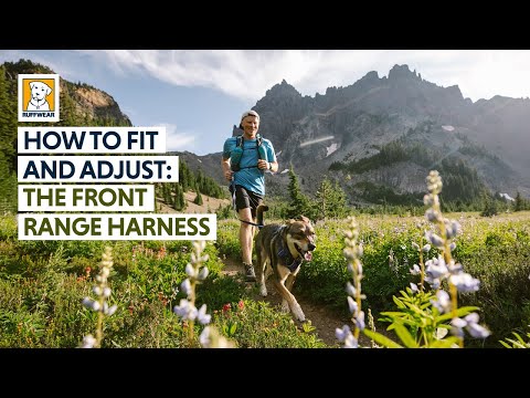 Ruffwear Front Range No-Pull Harness Video One