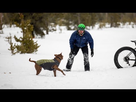 Ruffwear Climate Changer Fleece Dog Pullover