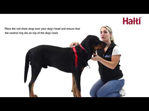 How to Fit the Halti Front Control Harness