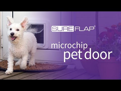 Pet door with chip hotsell