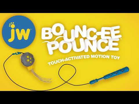 JW Bounc-ee Pounce Electronic Cat Wand Video