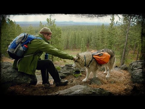 Ruffwear My Dog is My: A Tribute To The Dogs We Love