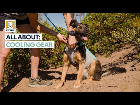 Ruffwear Jet Stream Cooling Vest Video About