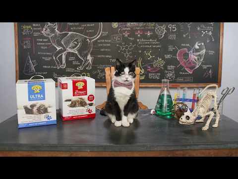 Dr Elsey's Kitten Attract Training Litter Video