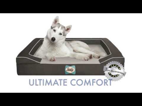 Sealy Lux Premium Orthopaedic Dog Bed