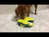 Nina Ottosson Dog Tornado Video