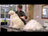 FURminator deShedding Tools for Dogs