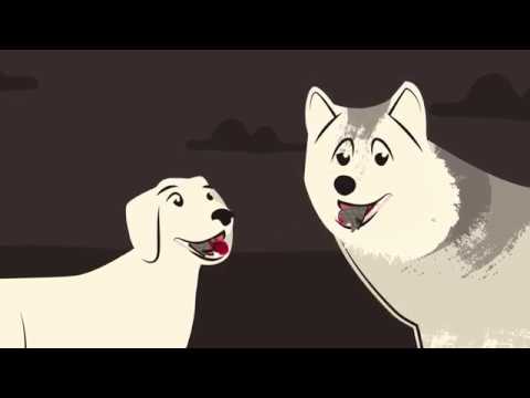 Load video: 