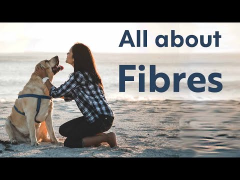 All About Fibres