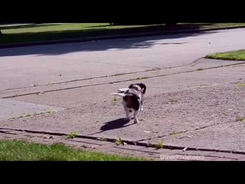 Load video: 