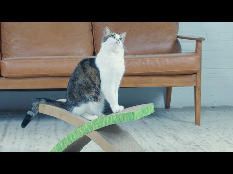 Load video: 