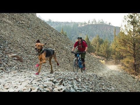 Ruffwear Grip Trex All-Terrain Dog Boots Video Fit