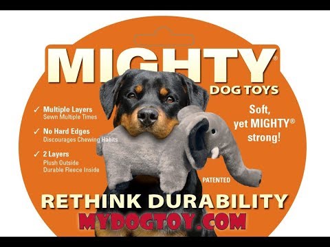 Mighty Dog Toys Video