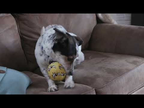 Load video: 