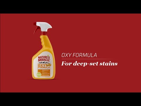 How to Use Nature's Miracle Oxy Formula