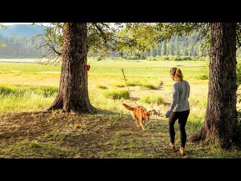 Ruffwear Knot-a-Hitch Campsite Dog Tether System How To Video