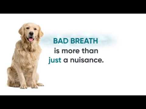 Vibrac Bad Breath Video