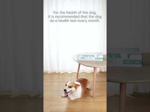 M-Pets Uritest Pads Video